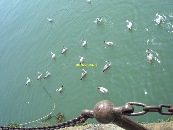 Photo 6"x4" Folkestone harbour Folkestone c2009