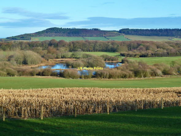 Photo 6"x4" Ponds near Dunsdale farm Dunsdale\/NZ6018 c2011
