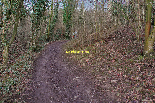 Photo 6"x4" Path to Adlington Adlington\/SD6013 c2011