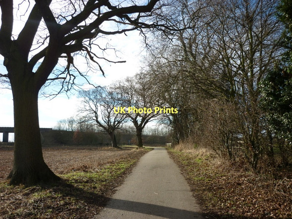 Photo 6"x4" The Trans Pennine Trail towards Sim Balk Lane, York Dringhouses c2011