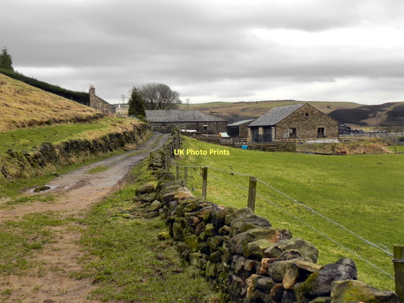 Photo 6"x4" Buckhurst Road and Farm Nangreaves c2011