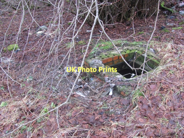 Photo 6"x4" Overflowing sewer Wishaw\/NS7955 c2011
