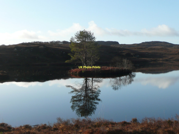 Photo 6"x4" Island in Loch Bad a' Chr\u00c3\u00b2tha Shieldaig c2011