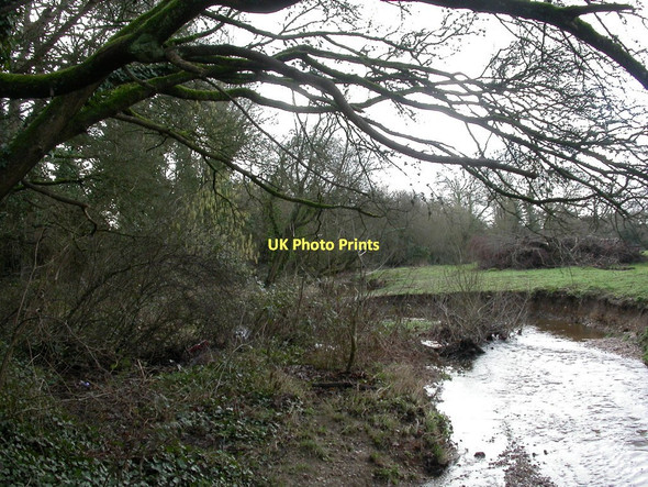 Photo 6"x4" Blashford, Lin Brook Ringwood\/SU1505 c2011