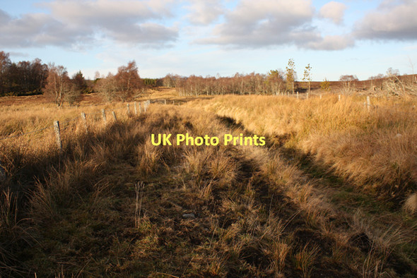 Photo 6"x4" Disused track near Craigroy Lurg\/NJ0445 c2011