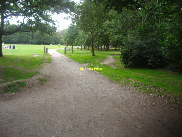 Photo 6"x4" East Sheen common Richmond\/TQ1874 c2009 P1