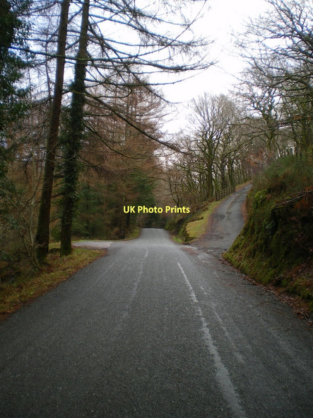 Photo 6"x4" Lane from Happy Valley to Cwrt Cwrt\/SH6800 c2011
