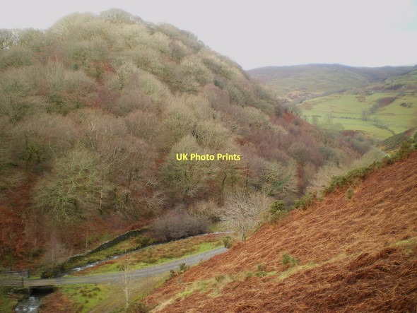 Photo 6"x4" Coed Cefn Coch Cwrt\/SH6800 c2011