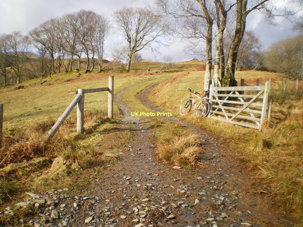 Photo 6"x4" On the track to Ysguboriau Pantperthog c2011