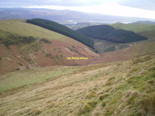 Photo 6"x4" Down the valley of the Afon Alice Pennal c2011