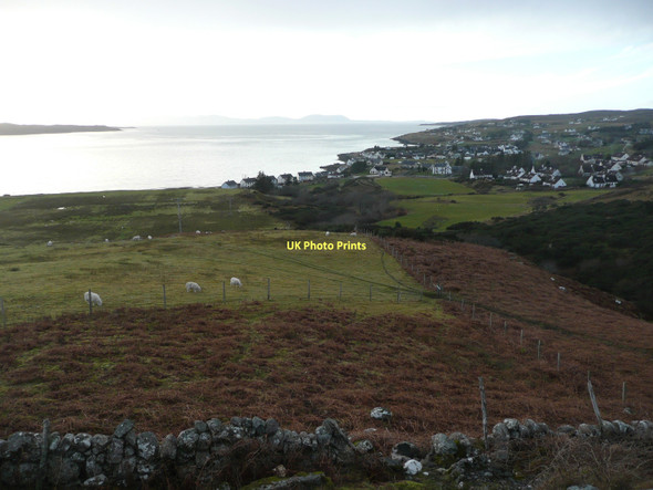 Photo 6"x4" Bracken and pasture east of Strath Auchtercairn c2011