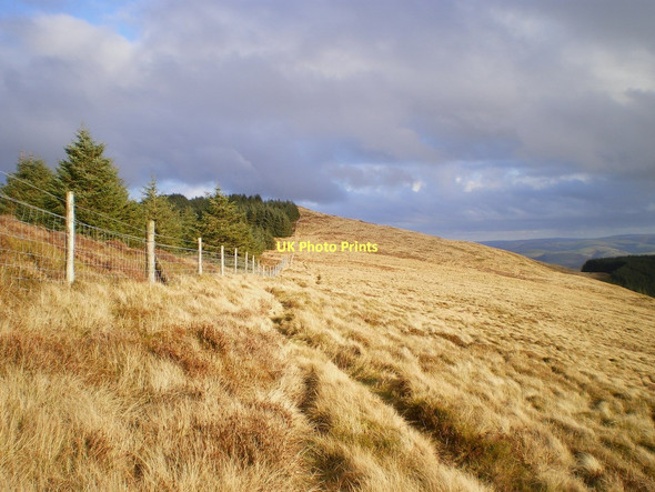 Photo 6"x4" Path up onto Foel y Geifr Abergynolwyn c2011