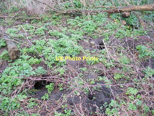 Photo 6"x4" Fox holes? Eccles\/TQ7360 c2011
