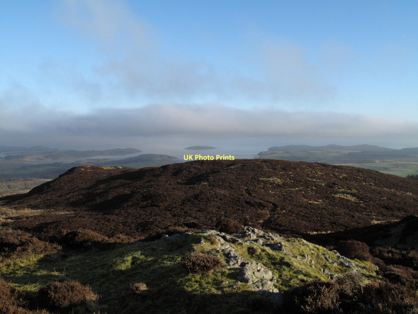 Photo 6"x4" Forest Hill Auchencairn\/NX7951 c2011