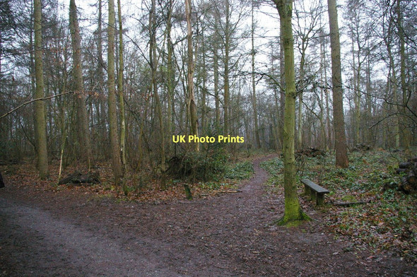 Photo 6"x4" Bridle path, Cuckoo Wood Hazelwood\/TQ4461 c2011