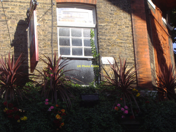 Photo 6"x4" Windowbox outside Duke of York pub, Southwark London c2009