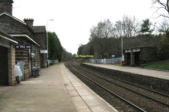 Photo 6"x4" Delamere Station, looking west Hatchmere c2011