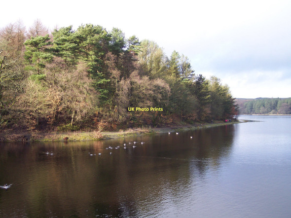 Photo 6"x4" Winter sun on Turton and Entwistle Reservoir Edge Fold\/SD7218 c2011