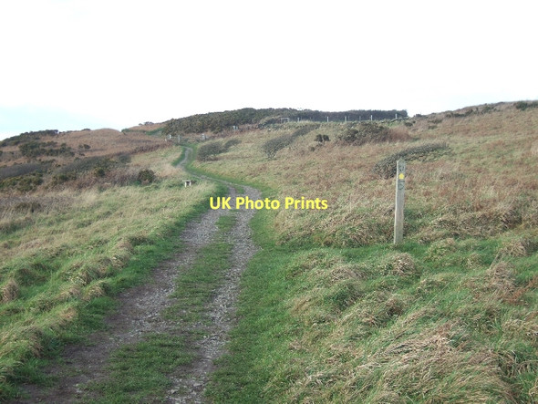 Photo 6"x4" Coastal path looking north-west on West Cliff Bolberry c2011