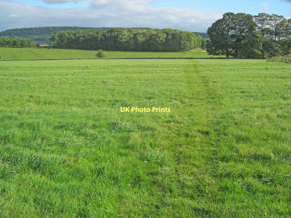 Photo 6"x4" Path across Haddon Fields Alport\/SK2264 c2010