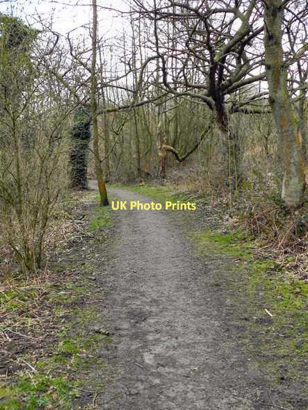 Photo 6"x4" Path To Bardsley Oldham c2011