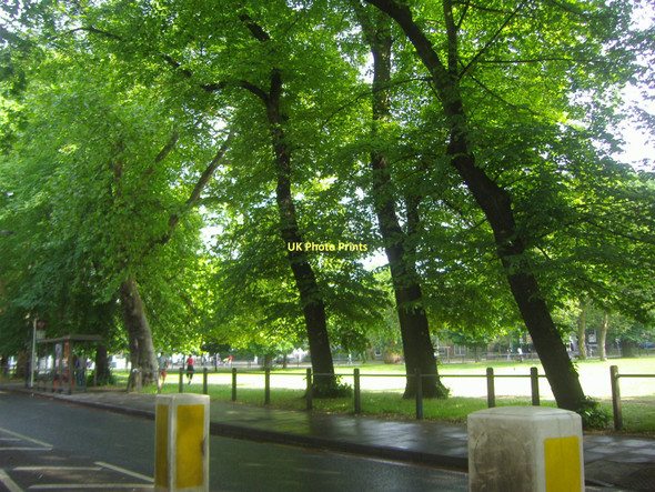 Photo 6"x4" Long Road, Clapham Common Clapham\/TQ2975 c2009