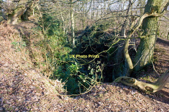 Photo 6"x4" Quarry on Pim Hill Harmer Hill c2011