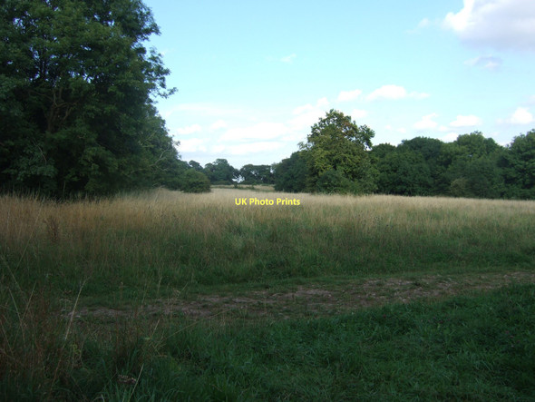 Photo 6"x4" Blaise Castle Estate - on Kings Weston Hill Blaise Hamlet c2009