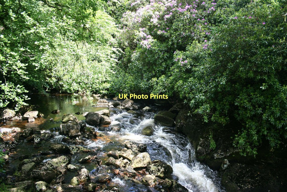 Photo 6"x4" River Avon, Brent Moor House Didworthy c2008