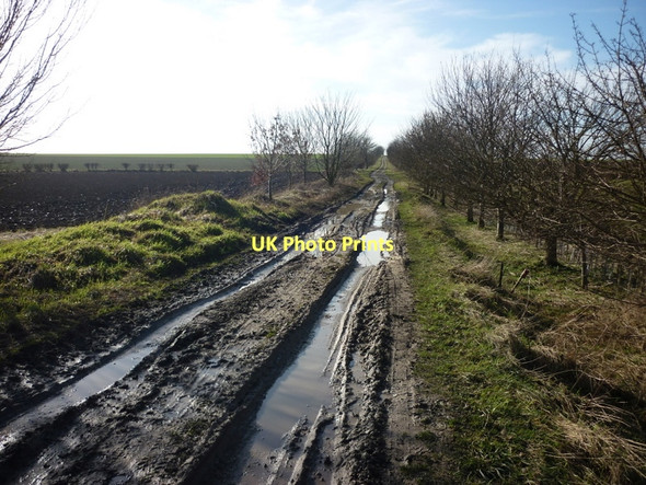 Photo 6"x4" A muddy bridleway to Owmby, Lincolnshire Searby c2011