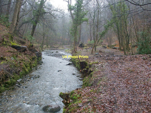 Photo 6"x4" Gruggies Burn Dumbarton c2011