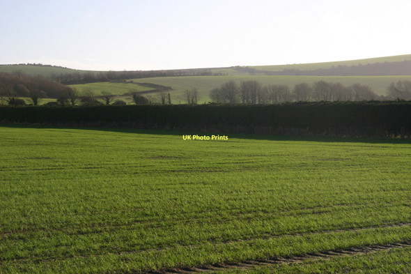 Photo 6"x4" Greenwich Meridian just north of the Rodmell - Lewes road Iford\/TQ4007 c2011