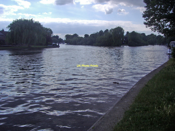 Photo 6"x4" Islands on River Thames, Shepperton towpath Weybridge c2009