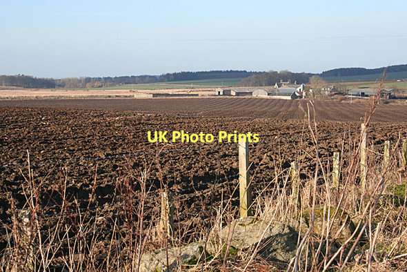 Photo 6"x4" Ordens from Baldavie Boyndie c2011