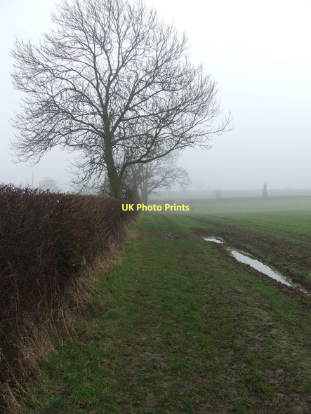 Photo 6"x4" Field Boundary Broad Green\/TL7859 c2011