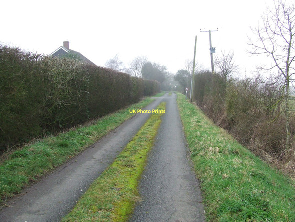 Photo 6"x4" Factory Lane Tan Office Green c2011