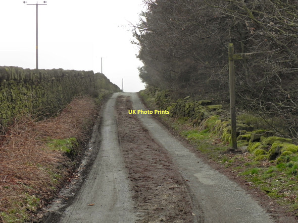 Photo 6"x4" Looking South Along Scotland Lane Birtle c2011