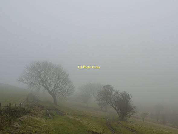 Photo 6"x4" Trees in the fog Kettleshulme c2011