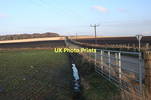 Photo 6"x4" Minor Road near Fiskaidly Boyndie c2011