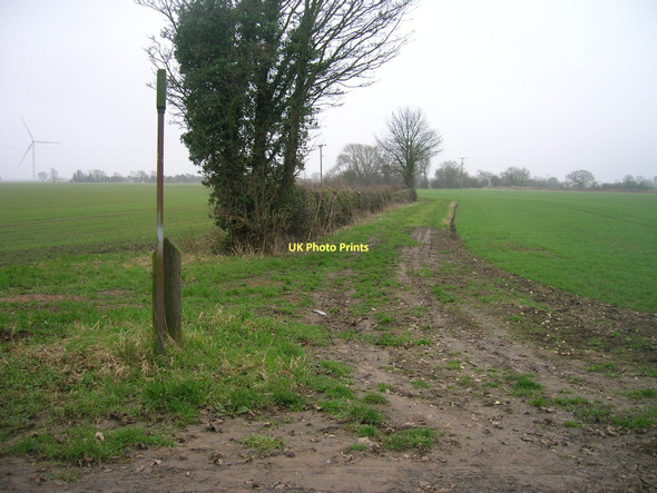 Photo 6"x4" Footpath near Scurff hall Drax c2011