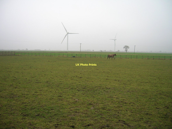 Photo 6"x4" Grazing Land, Rusholme Grange Farm Airmyn c2011