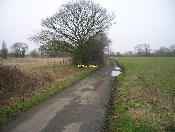 Photo 6"x4" Country lane near Drax Drax c2011