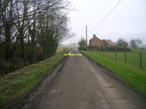 Photo 6"x4" Country lane, Long Drax Barmby on the Marsh c2011