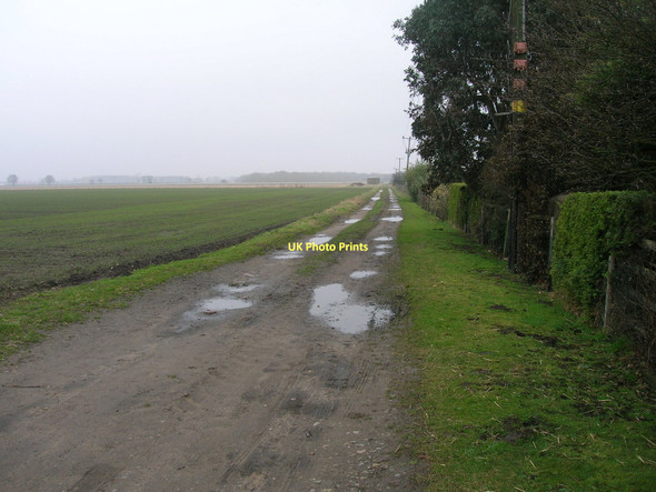 Photo 6"x4" Farm track off Barlow Common Road East Common\/SE6231 c2011