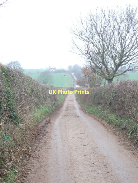Photo 6"x4" Mosshayne Lane Clyst Honiton c2011