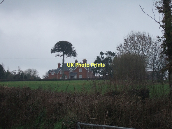 Photo 6"x4" Marlborough Farm Clyst Honiton c2011