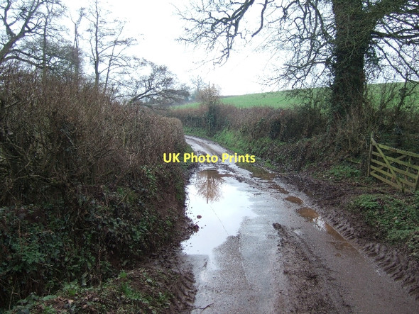Photo 6"x4" Lane at Holbrook Bridge Clyst Honiton c2011