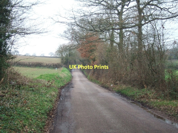Photo 6"x4" Bishops Court Lane Clyst St Mary c2011