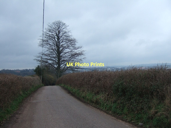 Photo 6"x4" Bishops Court Lane approaching Clyst St Mary Clyst St Mary c2011