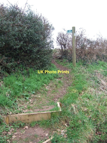 Photo 6"x4" Footpath to Clyst St Mary Clyst St Mary c2011
